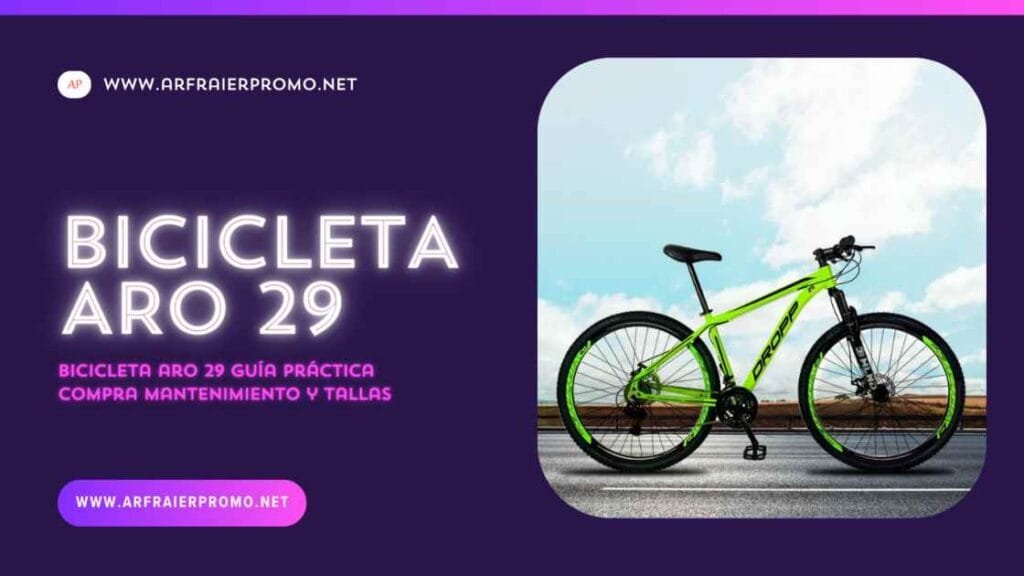 bicicleta aro 29