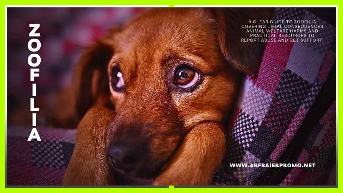 zoofilia