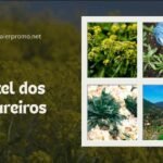 pastel dos tintureiros