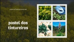 pastel dos tintureiros