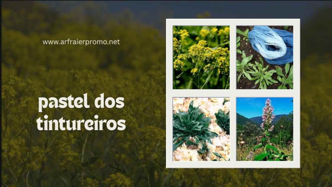 pastel dos tintureiros